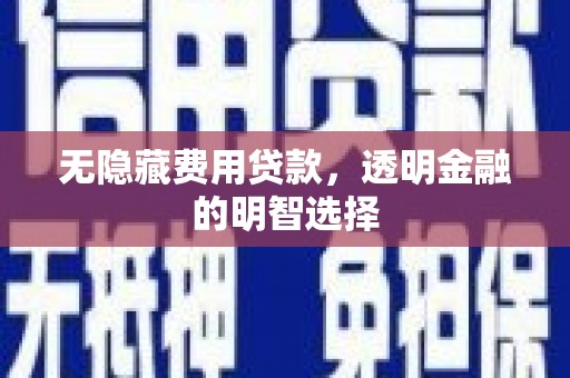 安陆无隐藏费用贷款，透明金融的明智选择