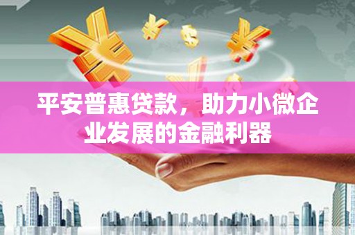 安陆平安普惠贷款，助力小微企业发展的金融利器