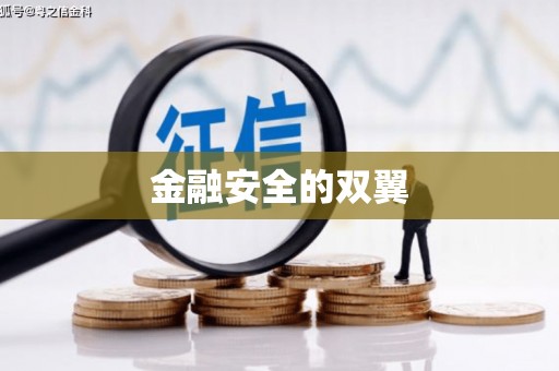 安陆金融安全的双翼