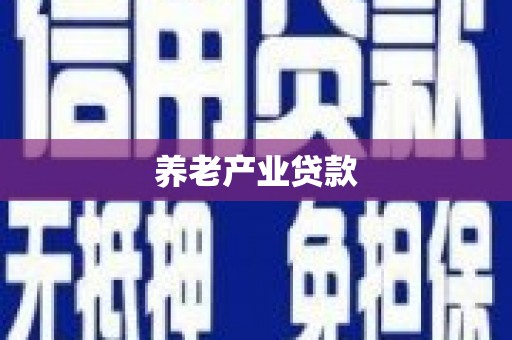 安陆养老产业贷款