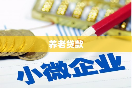 安陆养老贷款