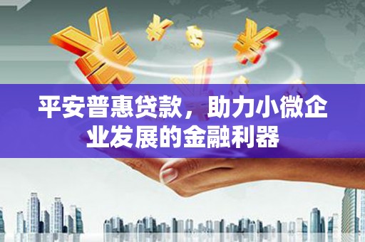 安陆平安普惠贷款，助力小微企业发展的金融利器