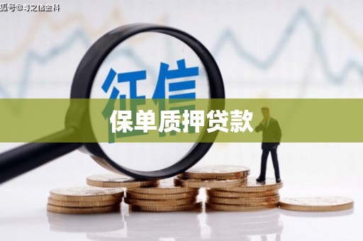 安陆保单质押贷款