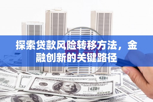 安陆探索贷款风险转移方法，金融创新的关键路径