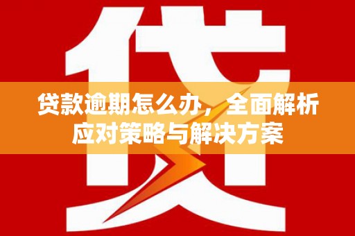 安陆贷款逾期怎么办，全面解析应对策略与解决方案