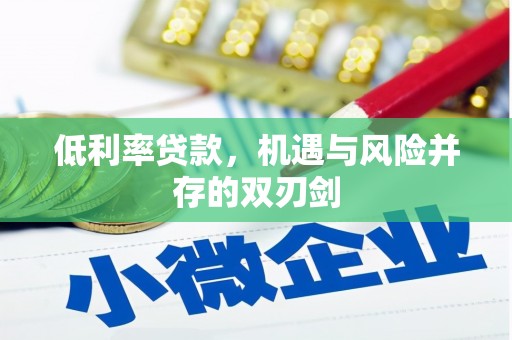 安陆低利率贷款，机遇与风险并存的双刃剑