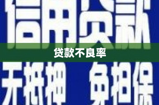 安陆贷款不良率