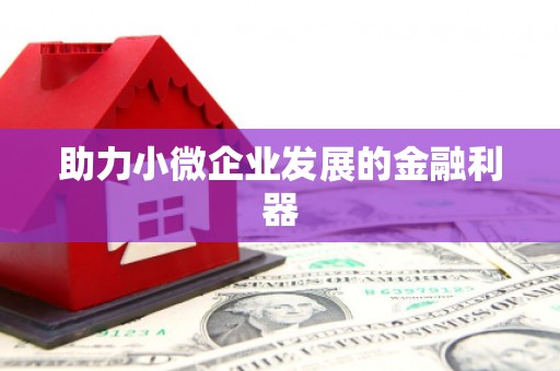 安陆助力小微企业发展的金融利器