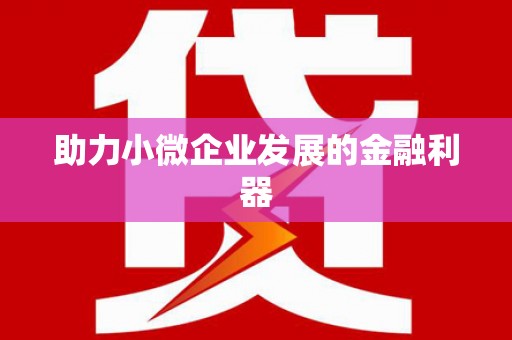 安陆助力小微企业发展的金融利器