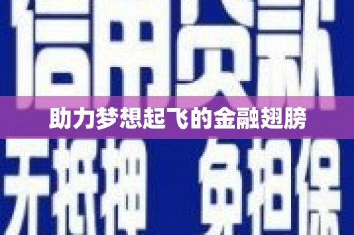 安陆助力梦想起飞的金融翅膀