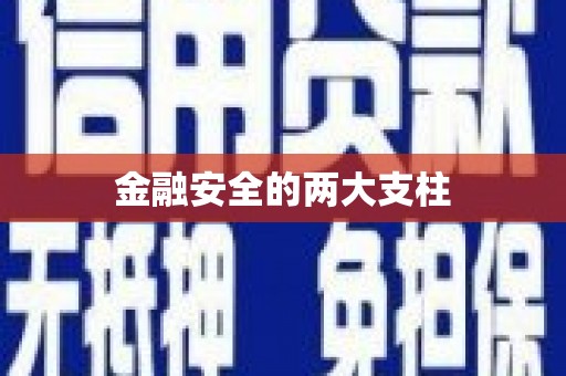 安陆金融安全的两大支柱