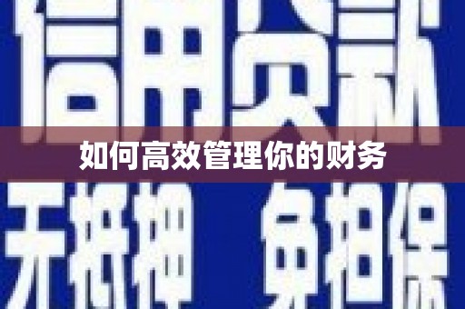 安陆如何高效管理你的财务