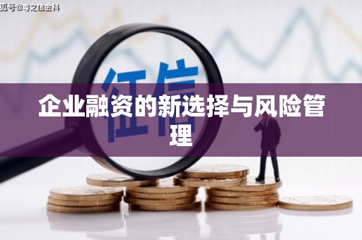 安陆企业融资的新选择与风险管理