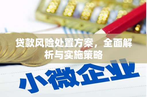 安陆贷款风险处置方案，全面解析与实施策略