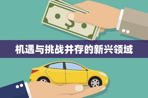 安陆机遇与挑战并存的新兴领域