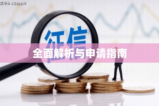 安陆全面解析与申请指南