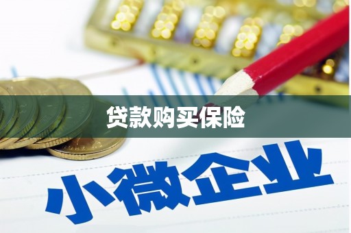 安陆贷款购买保险