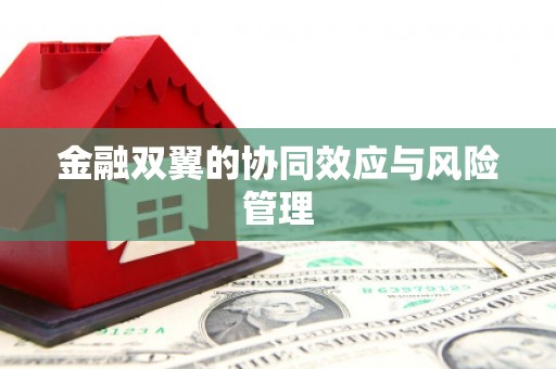 安陆金融双翼的协同效应与风险管理