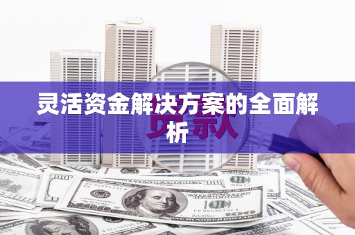 安陆灵活资金解决方案的全面解析