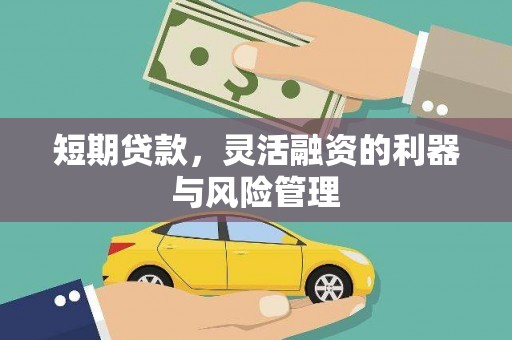 安陆短期贷款，灵活融资的利器与风险管理