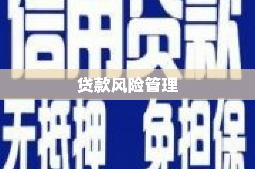安陆贷款风险管理