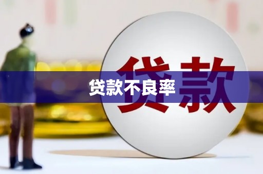 安陆贷款不良率